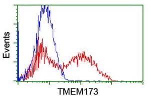 TMEM173 / STING Antibody (clone OTI1G5)