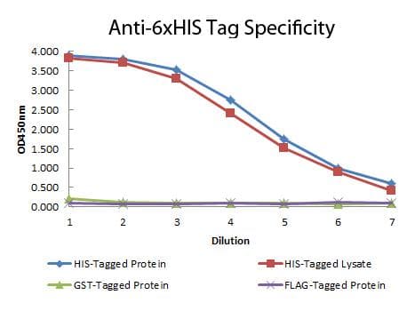 Monoclonal Mouse His Tag Antibody (clone 33D10.D2.G8, WB)