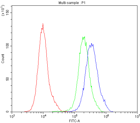 CD163 Antibody