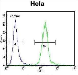 LDLRAD2 Antibody (aa132-160)