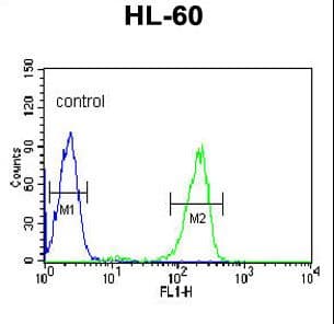 SNRPD1 / SMD1 Antibody (aa69-98)
