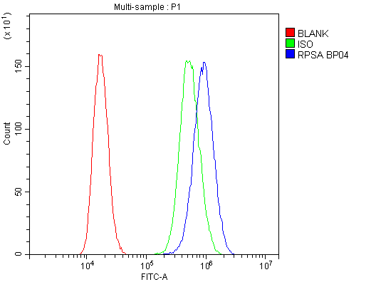 RPSA / Laminin Receptor Antibody