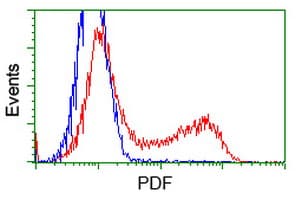 PDF / PLAB Antibody (clone OTI3C12)