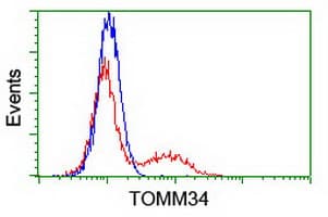 Monoclonal Mouse anti-Human TOMM34 Antibody (clone OTI 2E11, WB)