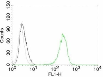 CD71 / Transferrin Receptor Antibody (clone TFRC/1059, Azide-free, BSA-free)