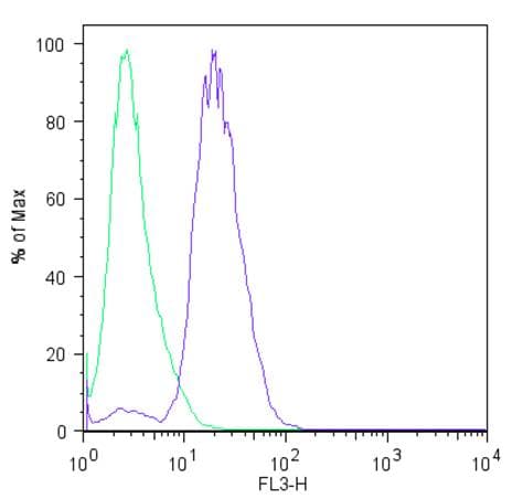 IHC-plus™ Polyclonal Rabbit anti-Human LIN28A / LIN28 Antibody (IHC, IF, WB)