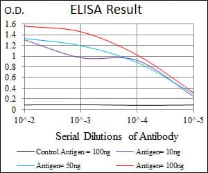 INCENP Antibody (clone 3D2)