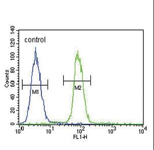 PathPlus™ S100B / S100 Beta Antibody