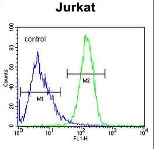 CCDC106 Antibody (aa151-180)
