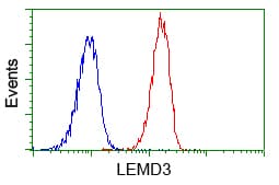 LEMD3 / MAN1 Antibody (clone OTI3H1)