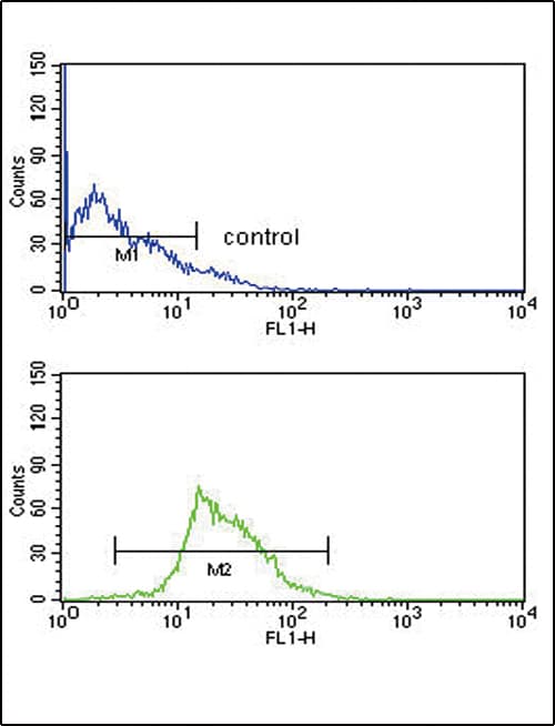 KMO Antibody (aa155-182)