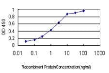 IHC-plus™ Monoclonal Mouse anti-Human PAX5 Antibody (clone 8F9, IHC, WB)