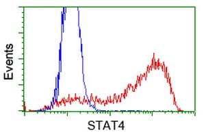 Monoclonal Mouse anti-Human STAT4 Antibody (clone OTI1G9, IF, WB)