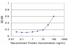 IHC-plus™ Neuropeptide Y / NPY Antibody (clone 2C10)