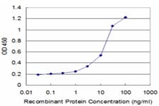 Monoclonal Mouse anti-Human Junctin / ASPH Antibody (clone 3G5, WB)