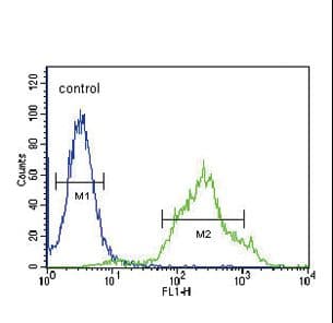 Polyclonal Rabbit anti-Human ZDHHC21 Antibody (aa59-87, IHC, WB)