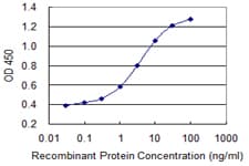 PRKCD / PKC-Delta Antibody (clone 2G12)