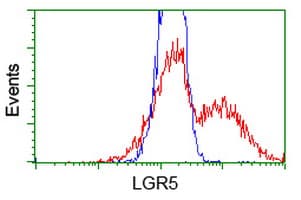 GPR49 / LGR5 Antibody (aa250-550, clone OTI2A2)