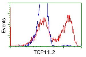 TCP11L2 Antibody (clone OTI2F10)