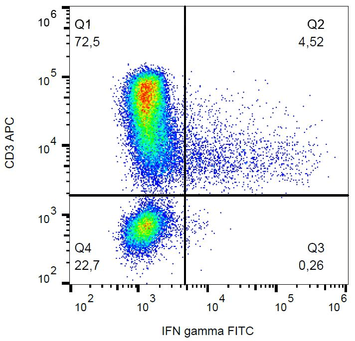 IFN Gamma / Interferon Gamma Antibody (clone 4S.B3, FITC)