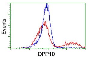 Monoclonal Mouse anti-Human Dipeptidylpeptidase 10 / DPP10 Antibody (clone OTI2A5, IHC, WB)
