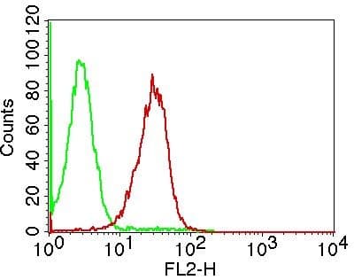 PathPlus™ Monoclonal Mouse anti-Human CASP3 / Caspase 3 Antibody (clone ABM1C12, IHC, WB)