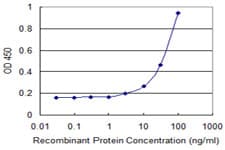 EDF1 / MBF1 Antibody (clone 3E6)