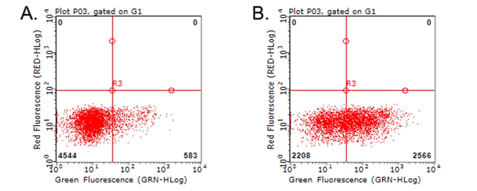 Monoclonal Mouse anti-Human TNFRSF9 / 4-1BB / CD137 Antibody (clone OTI3B8)