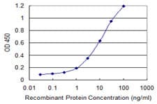 Monoclonal Mouse anti-Human TRIM72 / MG53 Antibody (clone 3B5)