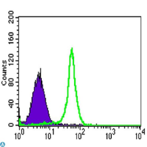 TAB2 Antibody