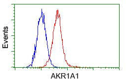 Monoclonal Mouse anti-Human AKR1A1 Antibody (clone OTI4G2, IHC, WB)