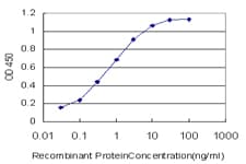 IHC-plus™ EP300 / p300 Antibody (clone 1D2)
