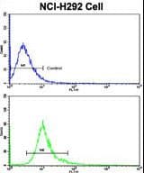 DCXR Antibody (aa79-106)