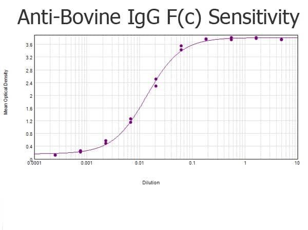 Rabbit Anti-Bovine IgG Fc Secondary Antibody