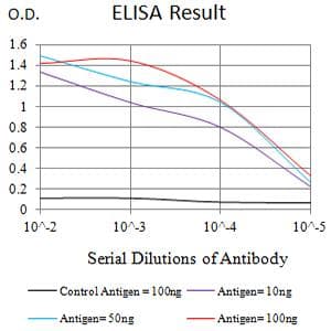 CLECSF6 / DCIR Antibody (clone 1B4A10)