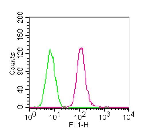 TLR7 / CD287 Antibody (FITC)
