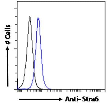 STRA6 Antibody (aa187-199)