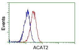 ACAT2 Antibody (clone OTI3E2)