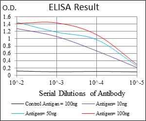 CFLAR / FLIP Antibody (aa100-251, clone 7A3D12)