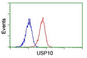 Monoclonal Mouse anti-Human USP10 Antibody (clone OTI1A10, IHC, WB)