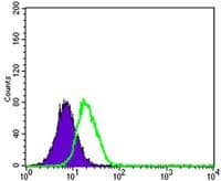 PPY / Pancreatic Polypeptide Antibody (Amino Acid: 1-95, clone 2G5D12)