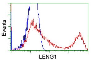 LENG1 Antibody (clone OTI1E6, Carrier-free)
