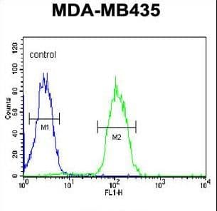 DHRS7 Antibody (aa66-93)