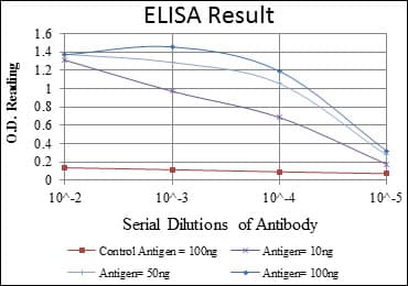 IHC-plus™ Monoclonal Mouse anti-Human BMPR2 Antibody (clone 3F6, IHC, IF, WB)
