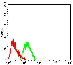 GRM3 / MGLUR3 Antibody (clone 6H10C3)