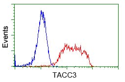 ERIC-1 / TACC3 Antibody (clone OTI7B11)