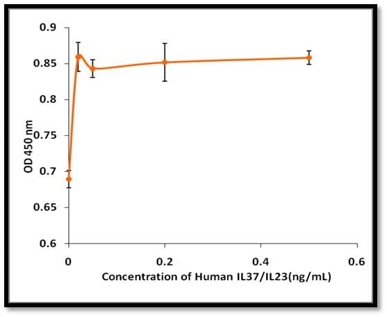 Human IL37 Protein (Recombinant)