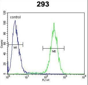 Polyclonal Rabbit anti-Human ENSA Antibody (aa39-66, WB)
