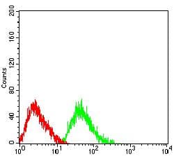 IL5RA / CD125 Antibody (clone 5E12F5D6)