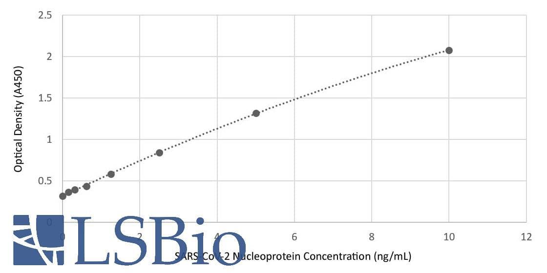 SARS-CoV-2 Nucleoprotein Antibody